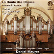 La route des orgues, Vol. 6 : L'orgue Roethinger d'Erstein | Daniel Maurer