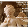 Les orgues de la Côte d'Or, Vol. 2 | Jean-pierre Lecaudey