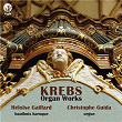 Krebs: Organ Works | Christophe Guida