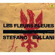 Les fleurs bleues | Stefano Bollani