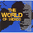 The World of Indigo | Djélimady Tounkara