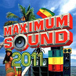 Maximum Sound 2011 | Divers