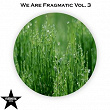 We Are Fragmatic, Vol. 3 | Max Freegrant