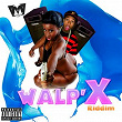 Walpixx Riddim | T Jy