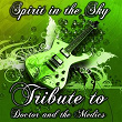 Spirit in the Sky: Tribute to Doctor and the Medics | High School Music Band