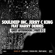 Grey Afternoon (feat. Harry Dennis) (Remixes Part 3) | Souldeep Inc., Jerry C King