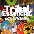 Tribal Essencial | Axcel