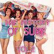 The History Of Surf, Vol. 2 | Rhet Stoller