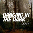 Dancing in the Dark, Vol. 1 | Agustin Barrueco