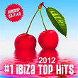 #1 Ibiza Top Hits 2012 (Summer Edition) | Alex Oshean, Dj Embargo