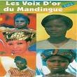 Les voix d'or du Mandingue, vol. 6 (Vol. 6) | Asidi Konaté
