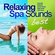 Best of Relaxing Spa Sounds (50 Gentle Instrumental Tracks and Pure Nature Sounds for Relaxation, Meditation, Healing Massage, Sound Therapy, Stress Relief, Good Sleep) | Wellness