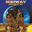 Appolo 95 (400% Zoblazo) | Meiway