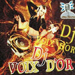 DJ voix d'or | Dj Voix D'or