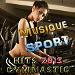 Musique Sport (Hits 2013 Gymnastic) | Zk Scream