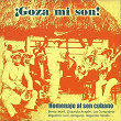 ¡Goza Mi Son! (Homenaje al son cubano) | Luis Carbonell