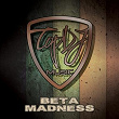 Madness (Original Mix) | Beta