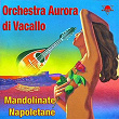 Orchestra Aurora Mandolinate Napoletane | Orchestra Aurora Di Vacallo