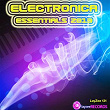 Electronica Essentials 2013 | Ruhr Chill Factory