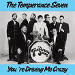 You're Driving Me Crazy | The Temperance Seven