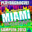 Playdagroove! Miami Sampler 2013 (Club Edition) | Jason Rivas, Hot Pool