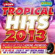 Tropical Hits 2013 | Adrone