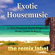 Exotic Housemusic (Best Deeptech Meets Proghouse Music Tunes In Key-E) | Paduraru