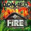 Fire | Donae O