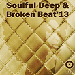 Soulful Deep & Broken Beat'13 | Soul To Sound