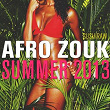 Afro Zouk Summer 2013 (Sushiraw) | Jean-michel Rotin
