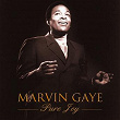 Pure Joy | Marvin Gaye