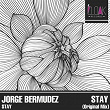 Stay | Jorge Bermudez