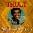 Truly Sammy Davis Jr | Sammy Davis Jr.