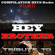 Hey Brother: Tribute to Conor Maynard, Avicii (Compilation Hits Radio 2013/2014) | Henri Pfr