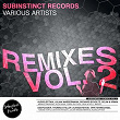 Subinstinct Remixes, Vol. 2 | Klangsystem