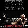 Under Control: Tribute to Calvin Harris, Lily Allen | Sevan