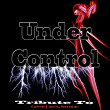 Under Control: Tribute To Calvin Harris, Stromae | Sevan