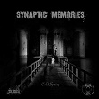 Cold Spring | Synaptic Memories