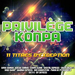 Privilège konpa (11 titres d'exception) | Afro Combo