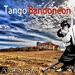 Tango Bandonéon (Argentina) | Orchestre Hector Grane