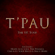 The UK Tour | T Pau