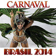 Carnaval (Brasil 2014) | Sandy Contrera