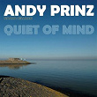 Quiet of Mind | Andy Prinz