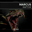 Raptor | Marcus