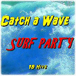 Catch a Wave: Surf Party (15 Hits) | The Ventures