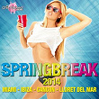 Springbreak 2014 (Miami - Ibiza - Cancun - Lloret del Mar) | Dj Mesta