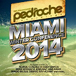 Pedroche Miami Winter Conference 2014 | Noboa