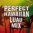 Perfect Hawaiian Luau Mix | Tainted Flavor