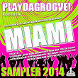 Playdagroove! Miami Sampler 2014 (Radio Edition) | Jason Rivas, Positive Feeling