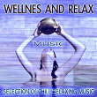 Wellnes and Relax Music (Selection of Chill Relaxing Music) | Toretto